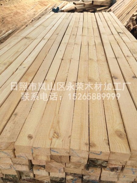樟鬆橙子视频APP官网
