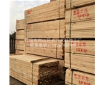 輻射鬆建築橙子视频污版APP