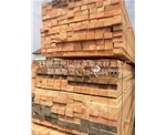 花旗鬆建築橙子视频污版APP