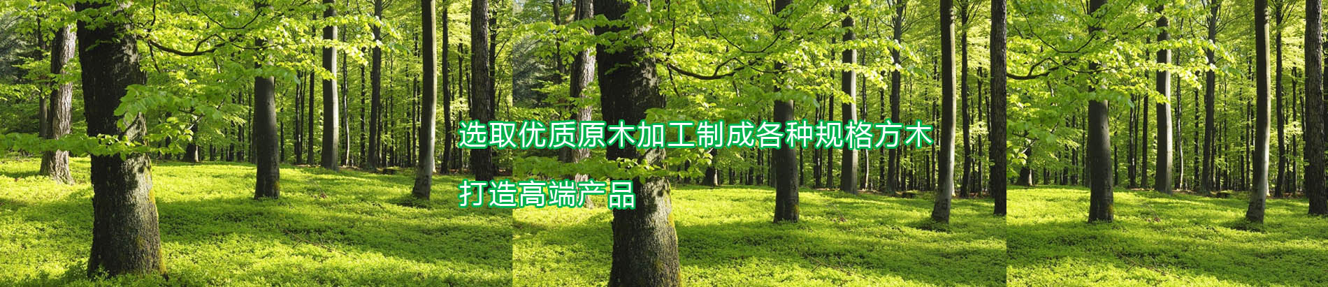 日照橙子视频APP下载安装木業有限公司
